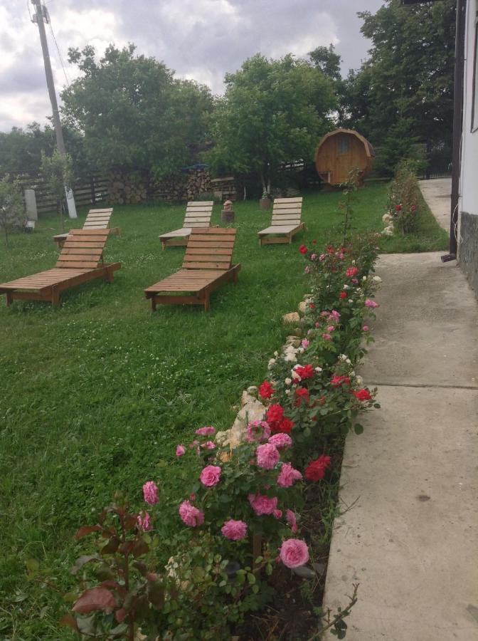Elder Villa Бран Екстериор снимка