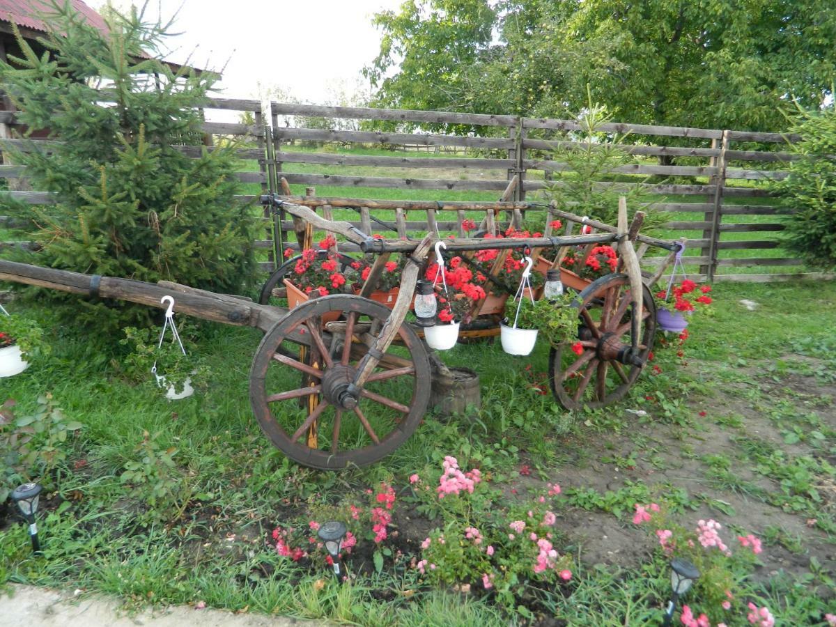 Elder Villa Бран Екстериор снимка
