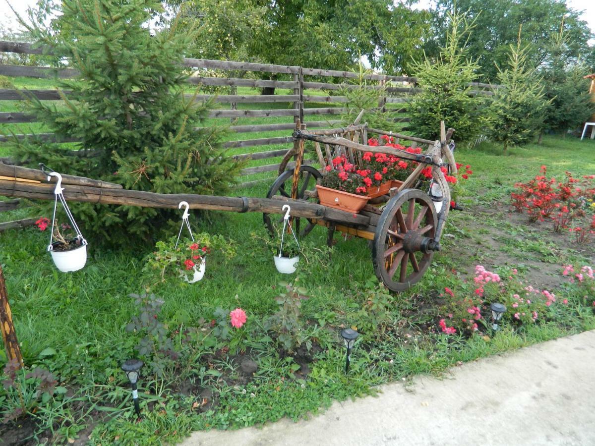 Elder Villa Бран Екстериор снимка